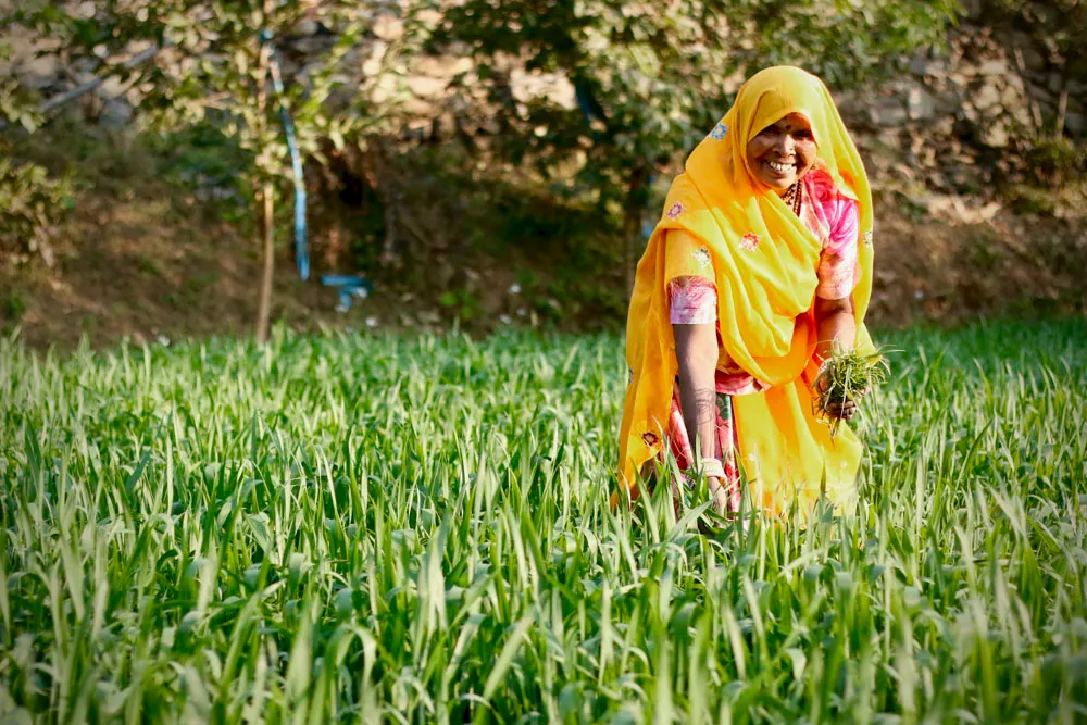a women dressed in yellow in a field